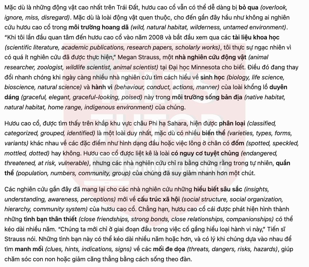 translation 2