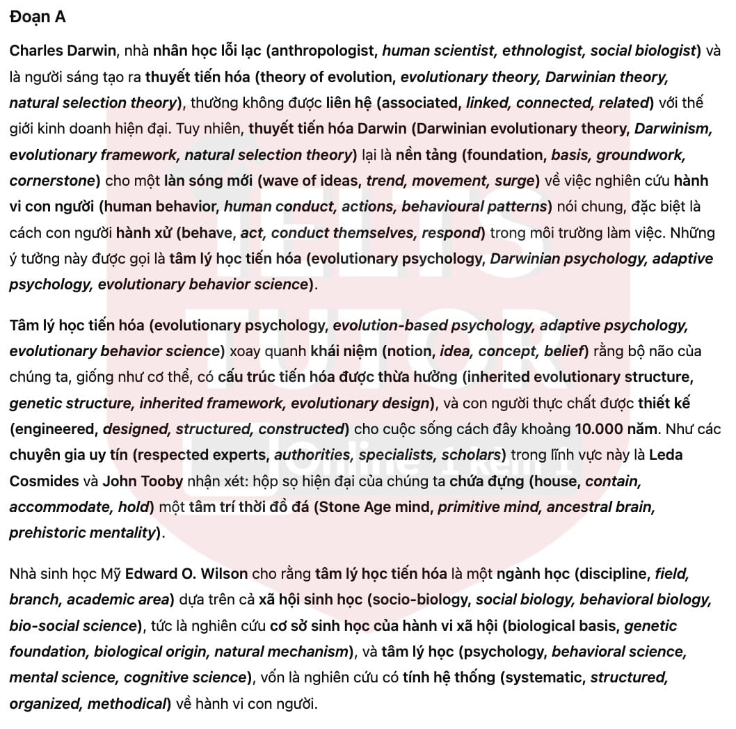 🔥Understanding the origins of workplace behavior Answers with location - Đề luyện tập IELTS READING- Làm bài online format computer-based, kèm đáp án, dịch & giải thích từ vựng - cấu trúc ngữ pháp khó