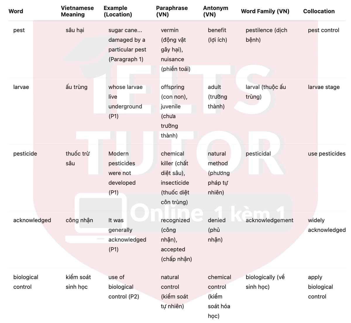 🔥Australia's cane toad problem Answers with location - Đề luyện tập IELTS READING- Làm bài online format computer-based, kèm đáp án, dịch & giải thích từ vựng - cấu trúc ngữ pháp khó