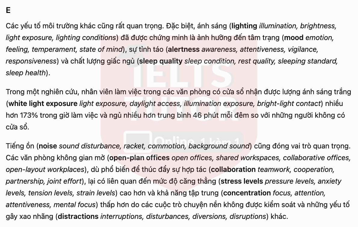 trans5