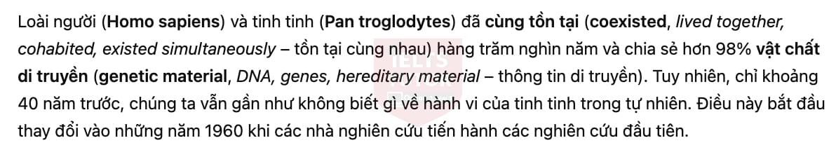 🔥Human-like culture in chimpanzees Answers with location - Đề luyện tập IELTS READING- Làm bài online format computer-based, kèm đáp án, dịch & giải thích từ vựng - cấu trúc ngữ pháp khó