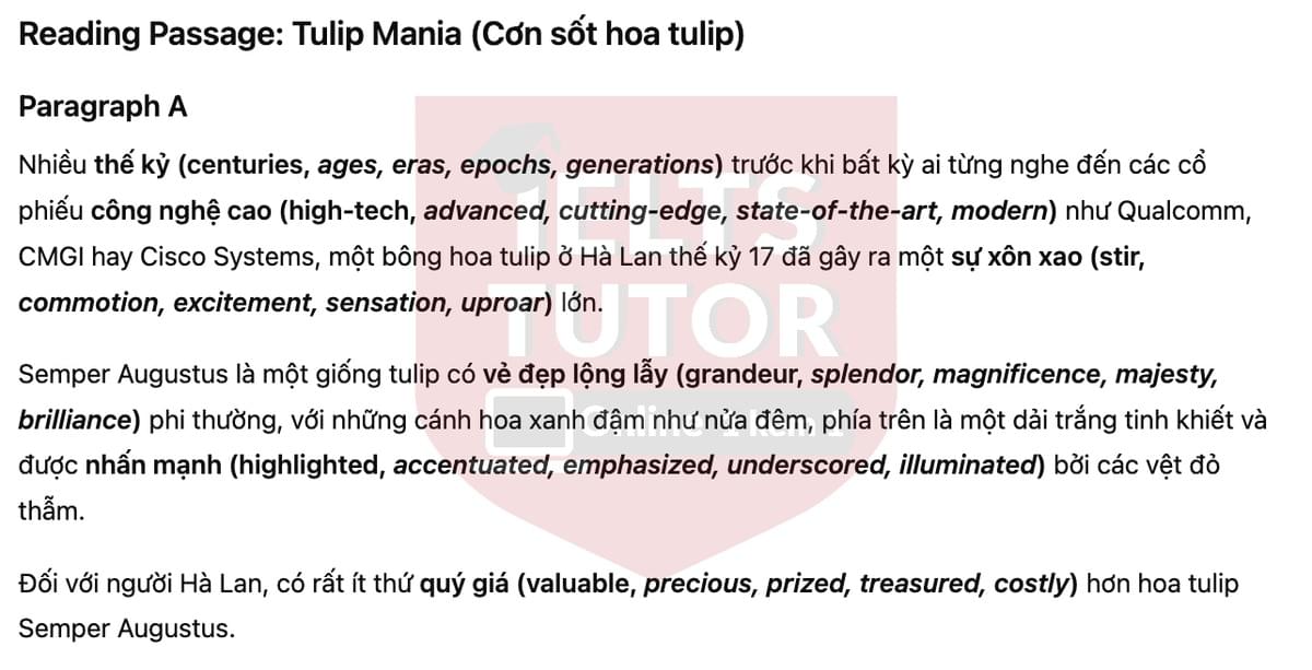 🔥Tulip Mania Answers with location - Đề luyện tập IELTS READING- Làm bài online format computer-based, kèm đáp án, dịch & giải thích từ vựng - cấu trúc ngữ pháp khó