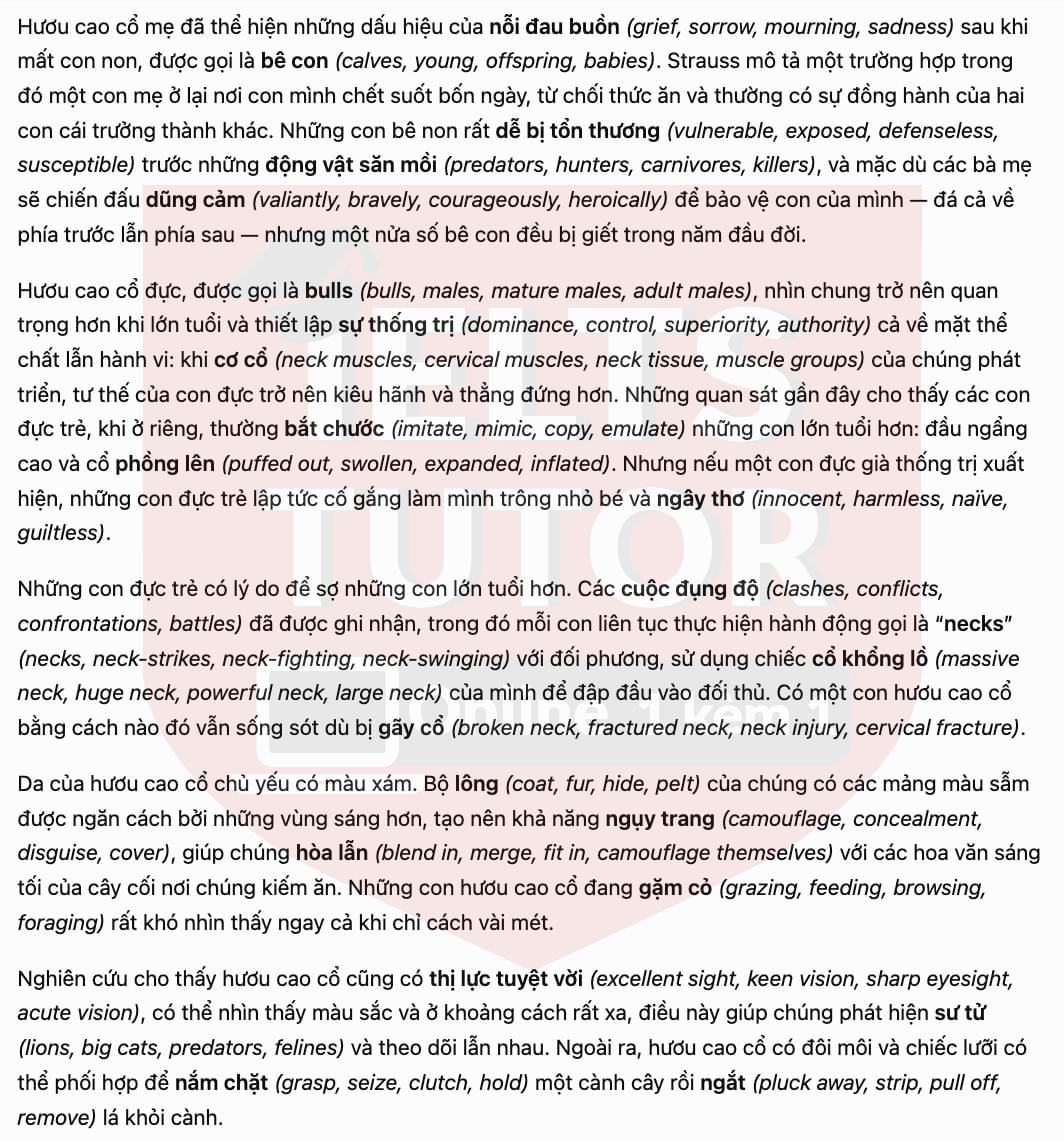 translation 1