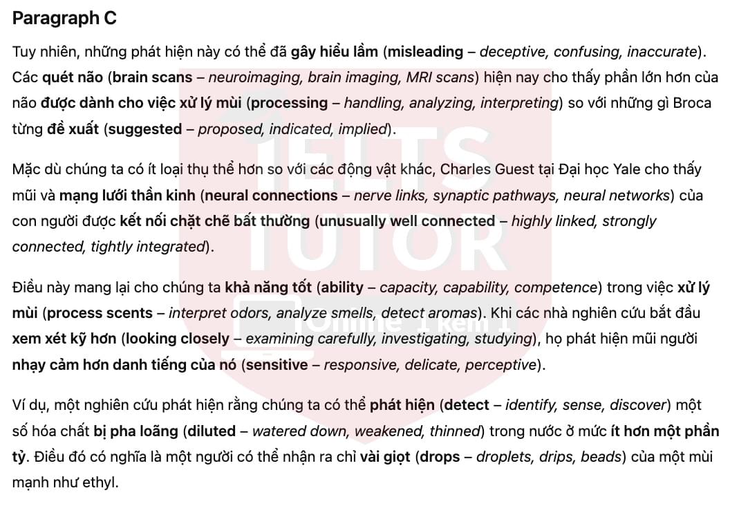 🔥The Power of Smell Answers with location - Đề luyện tập IELTS READING- Làm bài online format computer-based, kèm đáp án, dịch & giải thích từ vựng - cấu trúc ngữ pháp khó