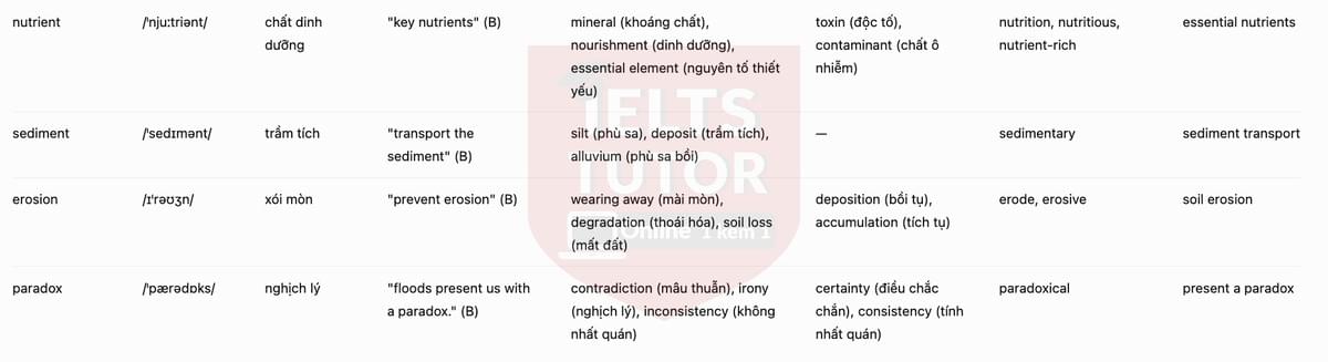 vocab-3