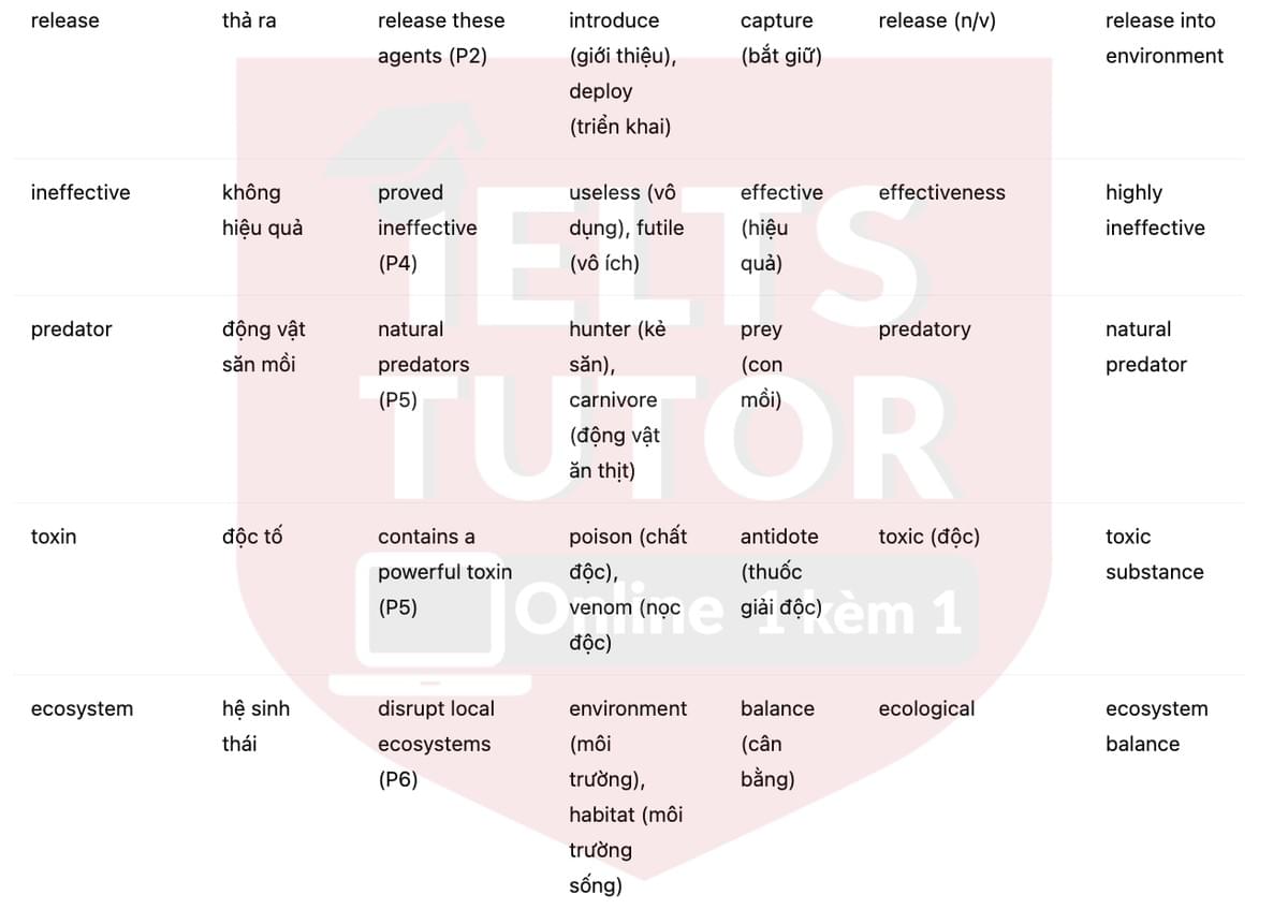 🔥Australia's cane toad problem Answers with location - Đề luyện tập IELTS READING- Làm bài online format computer-based, kèm đáp án, dịch & giải thích từ vựng - cấu trúc ngữ pháp khó