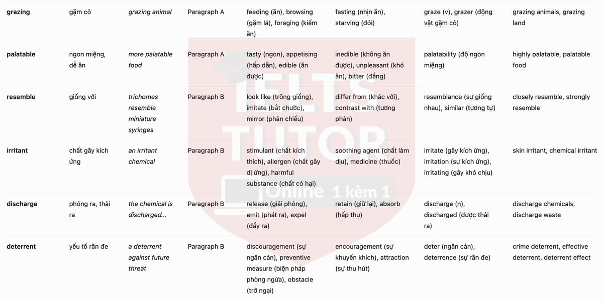 vocab2