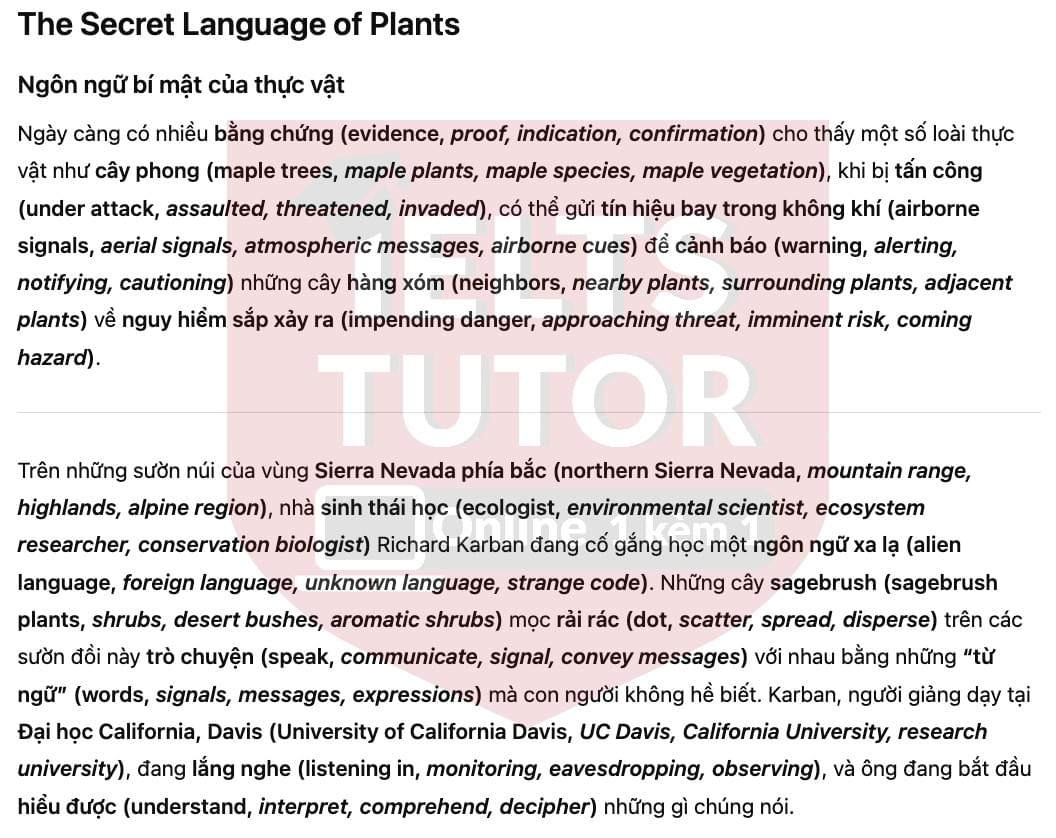 🔥The Secret Language of Plants Answers with location - Đề luyện tập IELTS READING- Làm bài online format computer-based, kèm đáp án, dịch & giải thích từ vựng - cấu trúc ngữ pháp khó