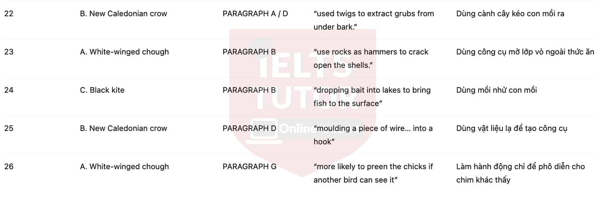 🔥Intelligent Behaviour in Birds Answers with location - Đề luyện tập IELTS READING- Làm bài online format computer-based, kèm đáp án, dịch & giải thích từ vựng - cấu trúc ngữ pháp khó