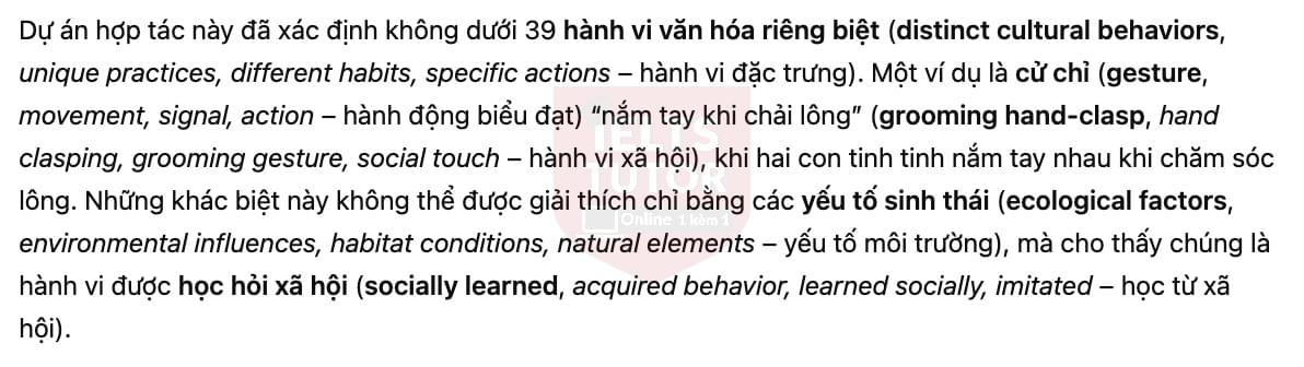 🔥Human-like culture in chimpanzees Answers with location - Đề luyện tập IELTS READING- Làm bài online format computer-based, kèm đáp án, dịch & giải thích từ vựng - cấu trúc ngữ pháp khó