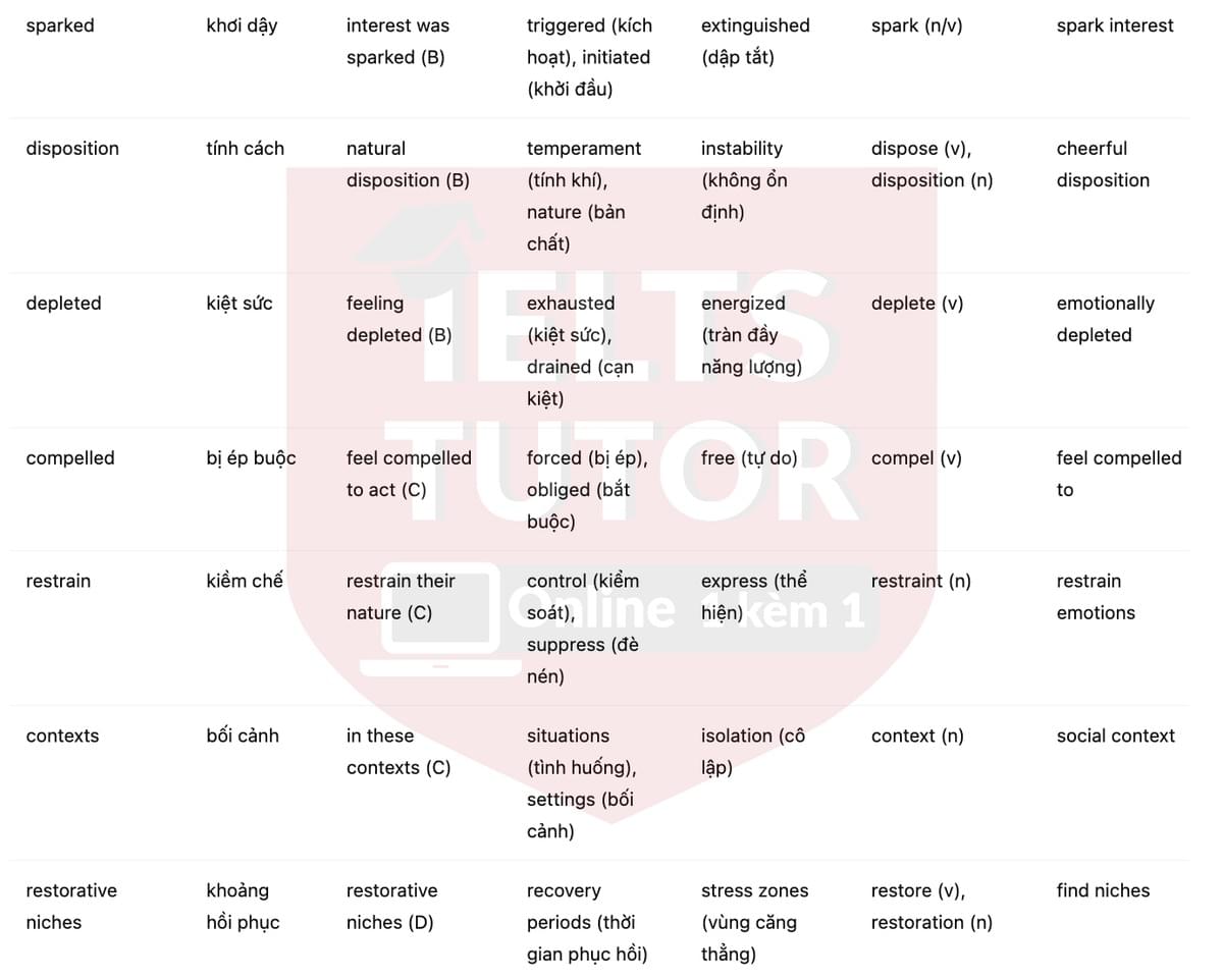 🔥A study of introvert and extrovert characters Answers with location - Đề luyện tập IELTS READING- Làm bài online format computer-based, kèm đáp án, dịch & giải thích từ vựng - cấu trúc ngữ pháp khó