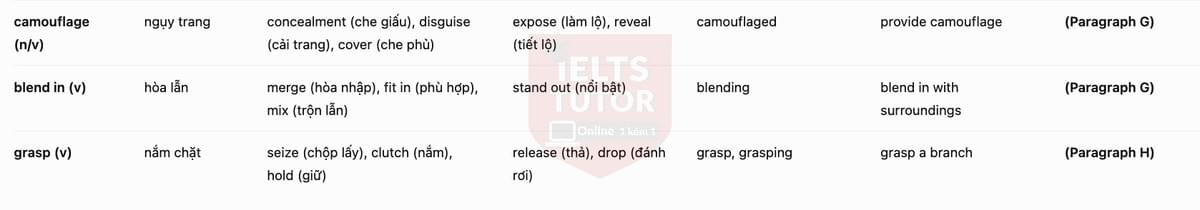 vocab 3