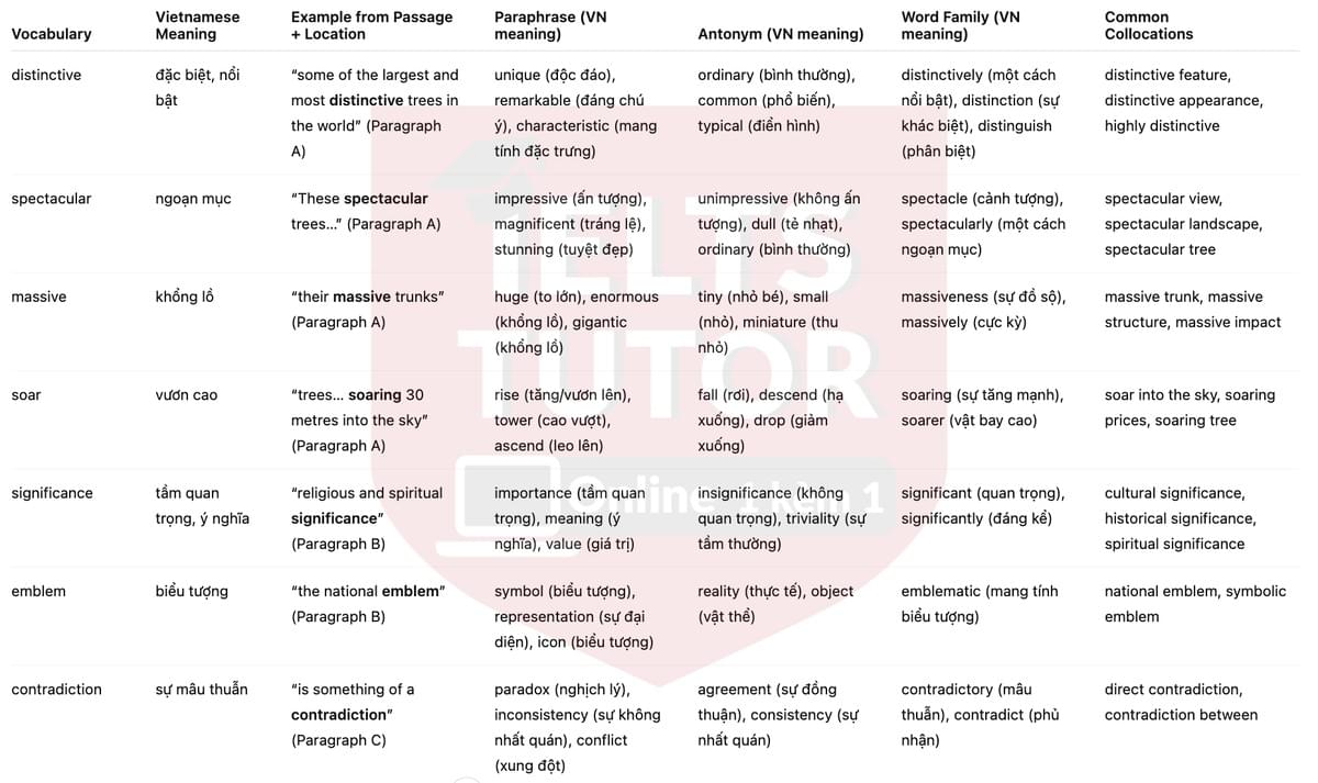 🔥The Baobabs of Madagascar Answers with location - Đề luyện tập IELTS READING- Làm bài online format computer-based, kèm đáp án, dịch & giải thích từ vựng - cấu trúc ngữ pháp khó