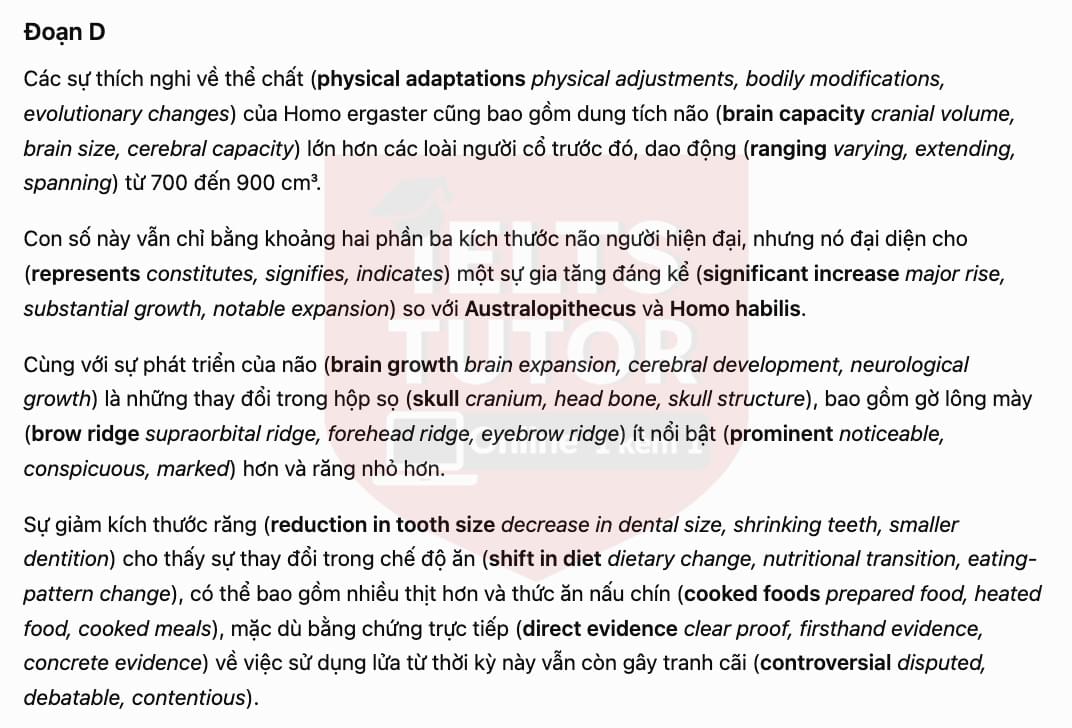 Translation 3