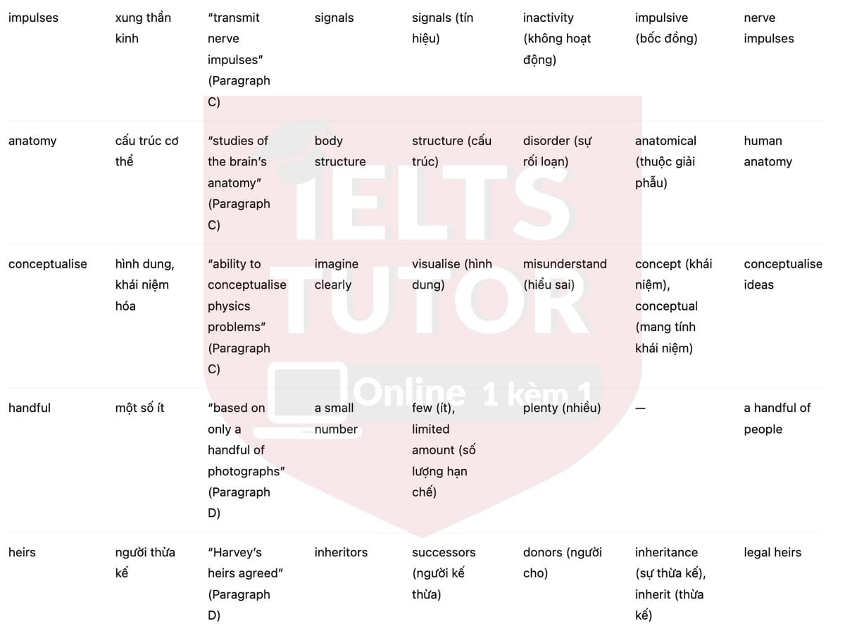 🔥Why was he so smart? Answers with location - Đề luyện tập IELTS READING- Làm bài online format computer-based, kèm đáp án, dịch & giải thích từ vựng - cấu trúc ngữ pháp khó