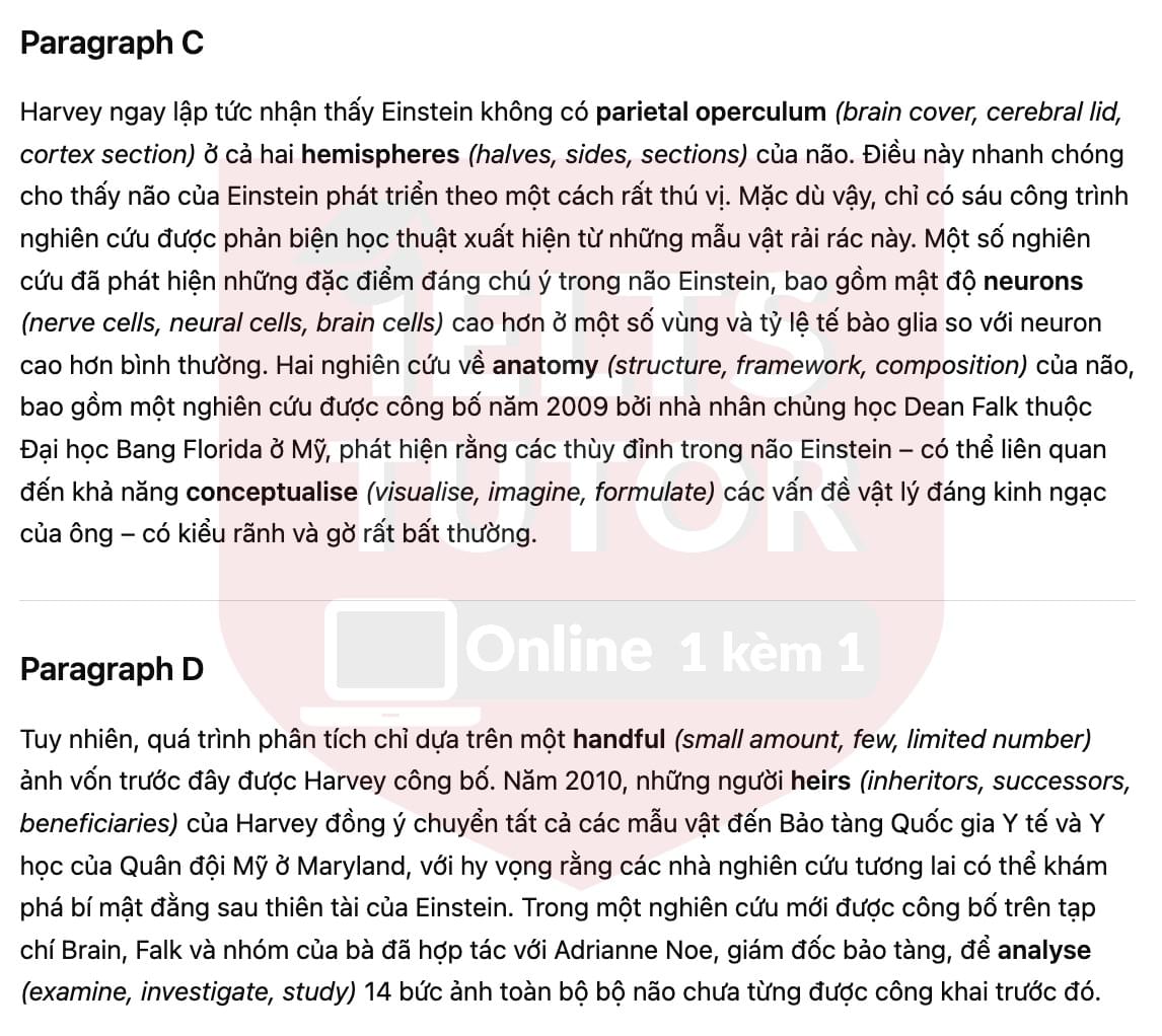 🔥Why was he so smart? Answers with location - Đề luyện tập IELTS READING- Làm bài online format computer-based, kèm đáp án, dịch & giải thích từ vựng - cấu trúc ngữ pháp khó