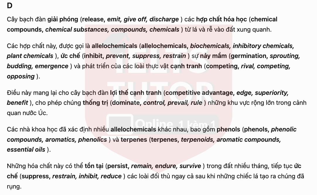 trans3