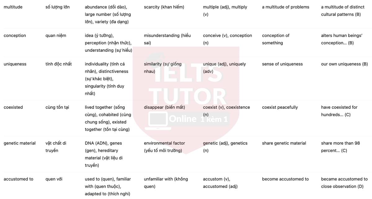 🔥Human-like culture in chimpanzees Answers with location - Đề luyện tập IELTS READING- Làm bài online format computer-based, kèm đáp án, dịch & giải thích từ vựng - cấu trúc ngữ pháp khó