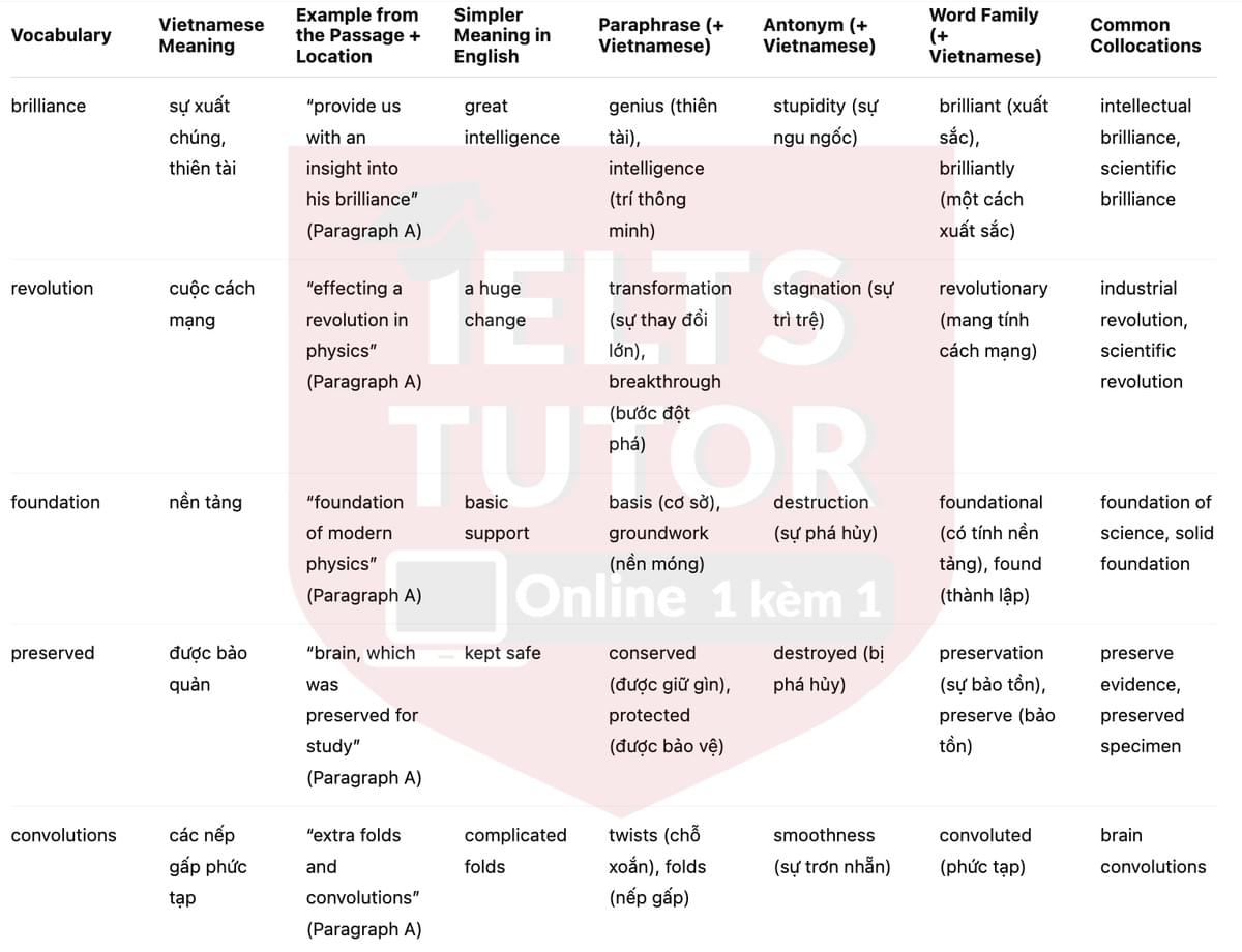 🔥Why was he so smart? Answers with location - Đề luyện tập IELTS READING- Làm bài online format computer-based, kèm đáp án, dịch & giải thích từ vựng - cấu trúc ngữ pháp khó