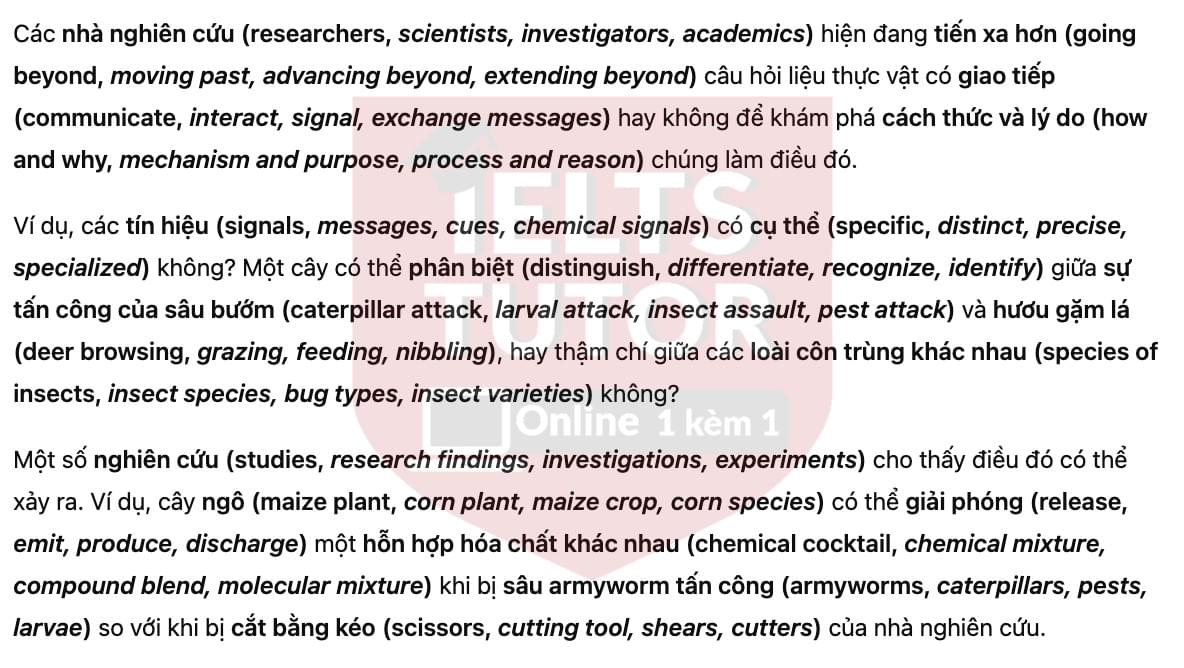 🔥The Secret Language of Plants Answers with location - Đề luyện tập IELTS READING- Làm bài online format computer-based, kèm đáp án, dịch & giải thích từ vựng - cấu trúc ngữ pháp khó