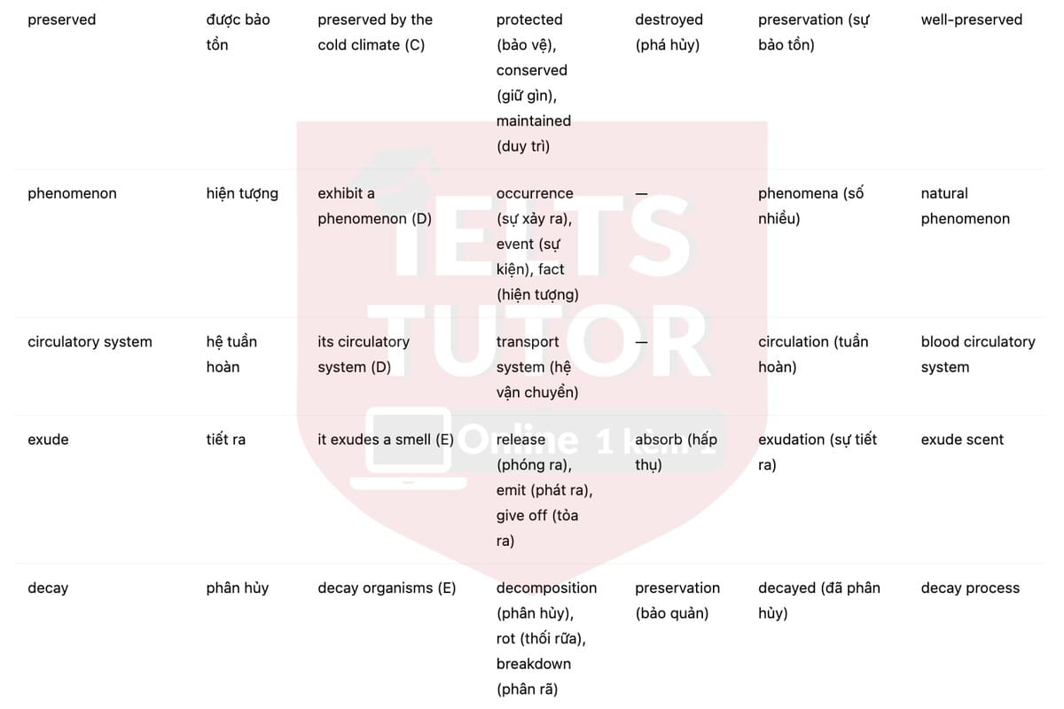 🔥Bristlecone Pines Answers with location - Đề luyện tập IELTS READING- Làm bài online format computer-based, kèm đáp án, dịch & giải thích từ vựng - cấu trúc ngữ pháp khó