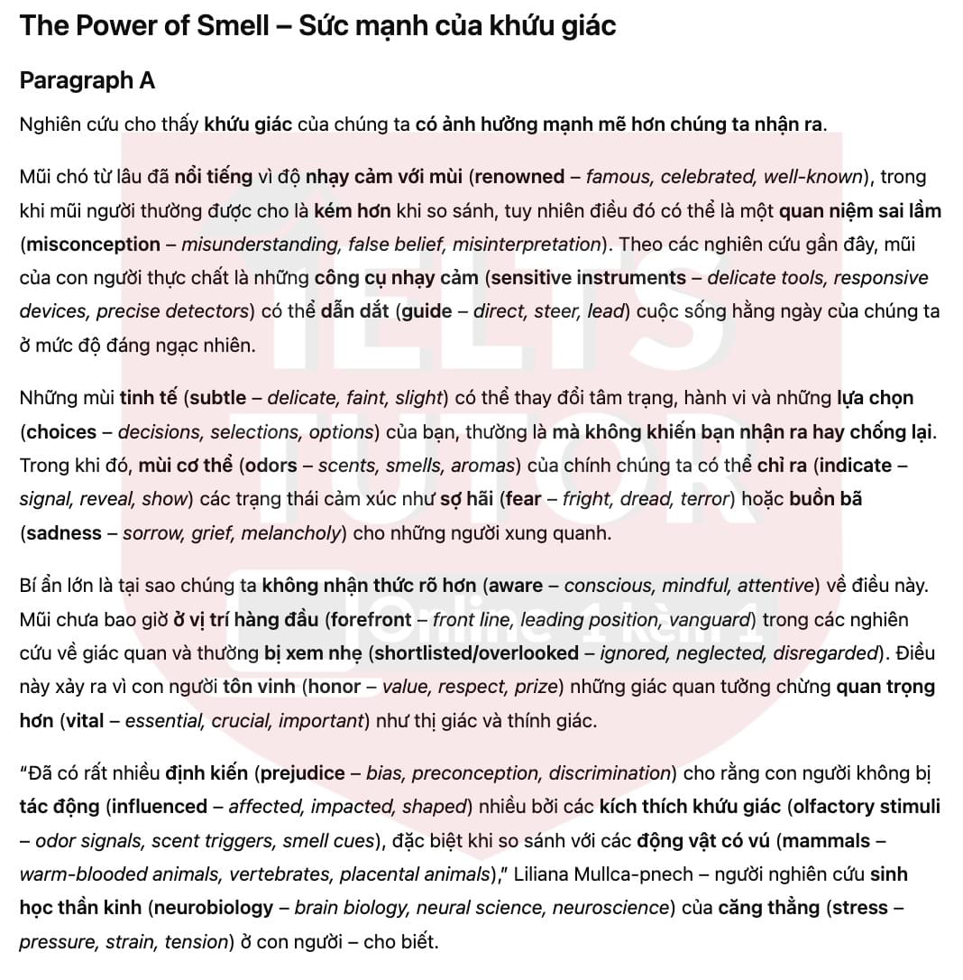 🔥The Power of Smell Answers with location - Đề luyện tập IELTS READING- Làm bài online format computer-based, kèm đáp án, dịch & giải thích từ vựng - cấu trúc ngữ pháp khó