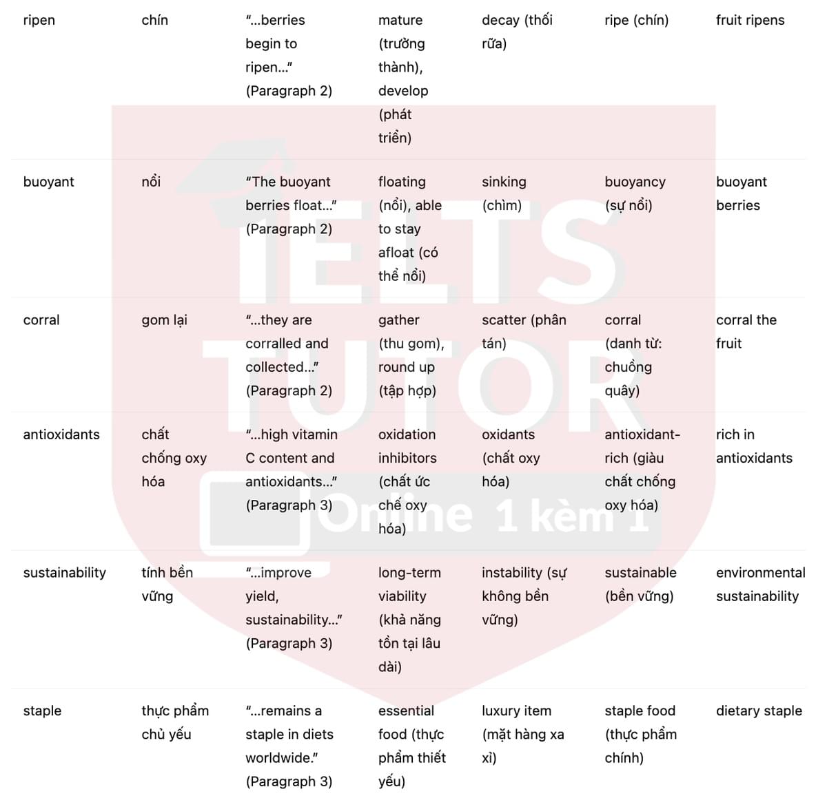 🔥Cranberry Fruit Answers with location - Đề luyện tập IELTS READING- Làm bài online format computer-based, kèm đáp án, dịch & giải thích từ vựng - cấu trúc ngữ pháp khó