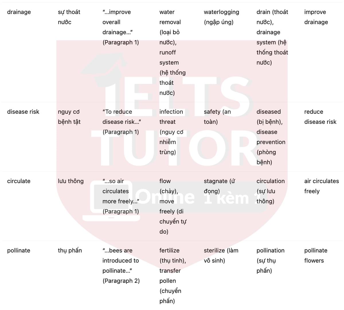 🔥Cranberry Fruit Answers with location - Đề luyện tập IELTS READING- Làm bài online format computer-based, kèm đáp án, dịch & giải thích từ vựng - cấu trúc ngữ pháp khó