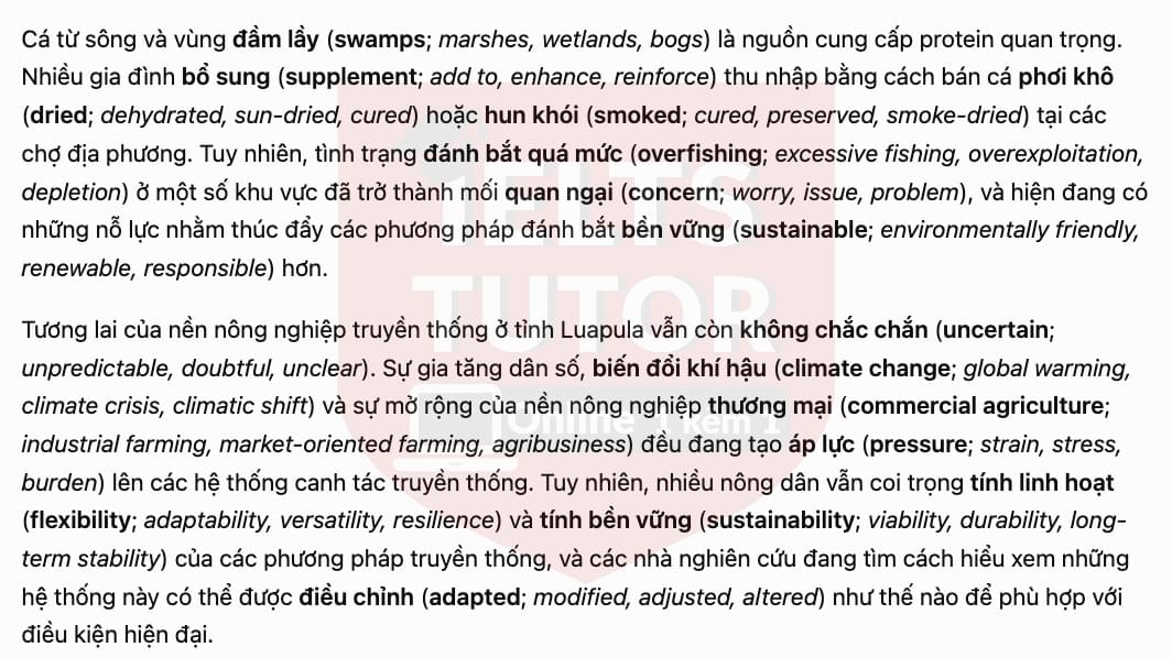 trans3