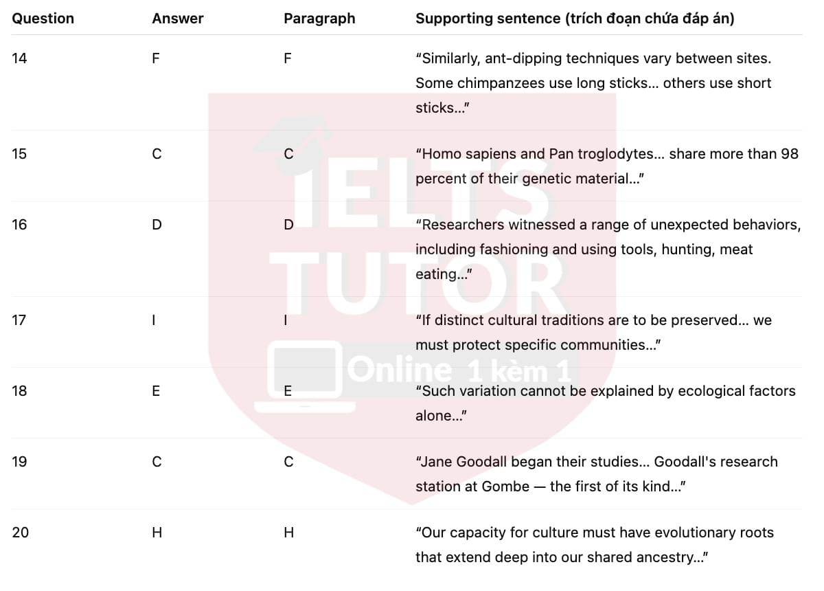 🔥Human-like culture in chimpanzees Answers with location - Đề luyện tập IELTS READING- Làm bài online format computer-based, kèm đáp án, dịch & giải thích từ vựng - cấu trúc ngữ pháp khó