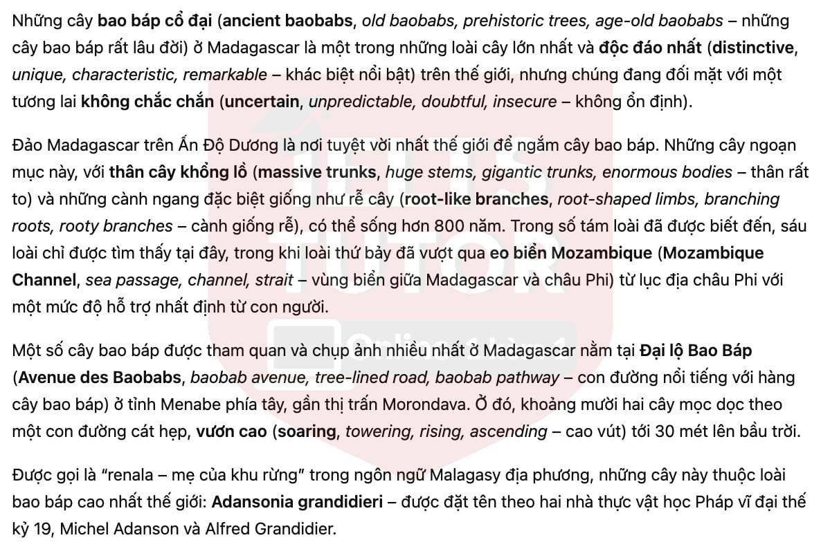 🔥The Baobabs of Madagascar Answers with location - Đề luyện tập IELTS READING- Làm bài online format computer-based, kèm đáp án, dịch & giải thích từ vựng - cấu trúc ngữ pháp khó