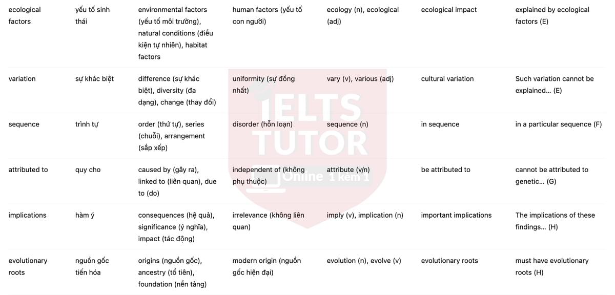 🔥Human-like culture in chimpanzees Answers with location - Đề luyện tập IELTS READING- Làm bài online format computer-based, kèm đáp án, dịch & giải thích từ vựng - cấu trúc ngữ pháp khó