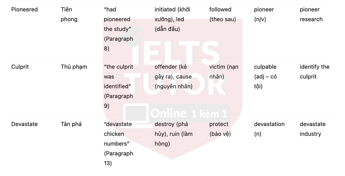 🔥Can You Catch Obesity? Answers with location - Đề luyện tập IELTS READING- Làm bài online format computer-based, kèm đáp án, dịch & giải thích từ vựng - cấu trúc ngữ pháp khó