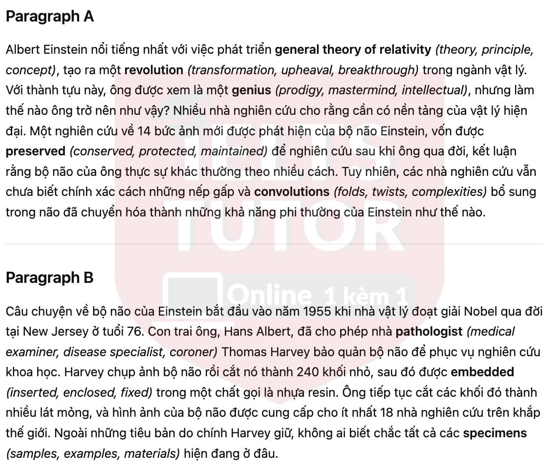 🔥Why was he so smart? Answers with location - Đề luyện tập IELTS READING- Làm bài online format computer-based, kèm đáp án, dịch & giải thích từ vựng - cấu trúc ngữ pháp khó