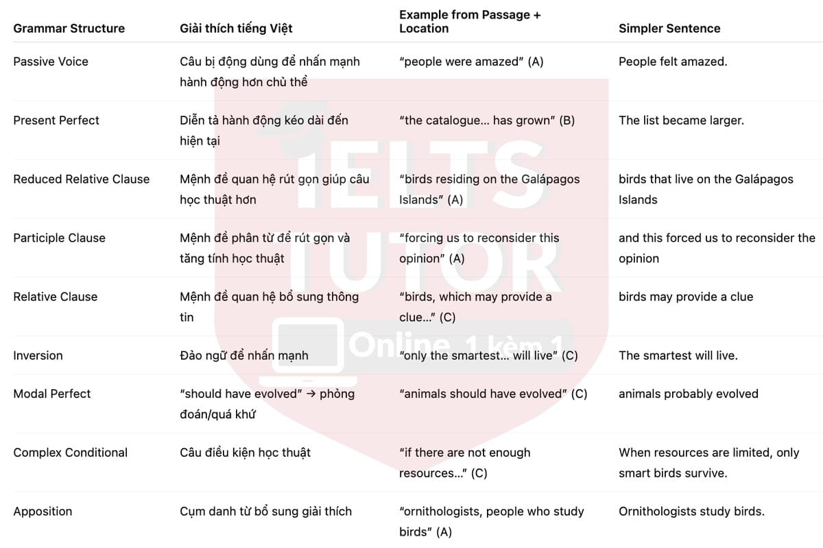 🔥Intelligent Behaviour in Birds Answers with location - Đề luyện tập IELTS READING- Làm bài online format computer-based, kèm đáp án, dịch & giải thích từ vựng - cấu trúc ngữ pháp khó
