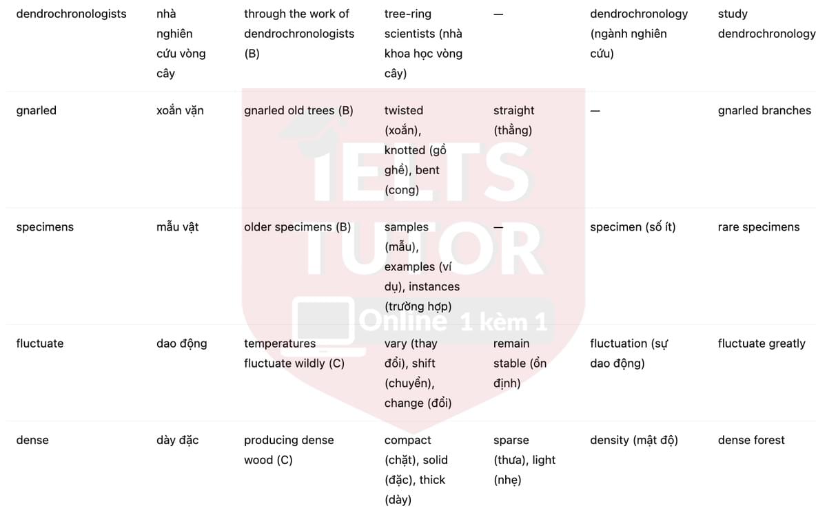 🔥Bristlecone Pines Answers with location - Đề luyện tập IELTS READING- Làm bài online format computer-based, kèm đáp án, dịch & giải thích từ vựng - cấu trúc ngữ pháp khó