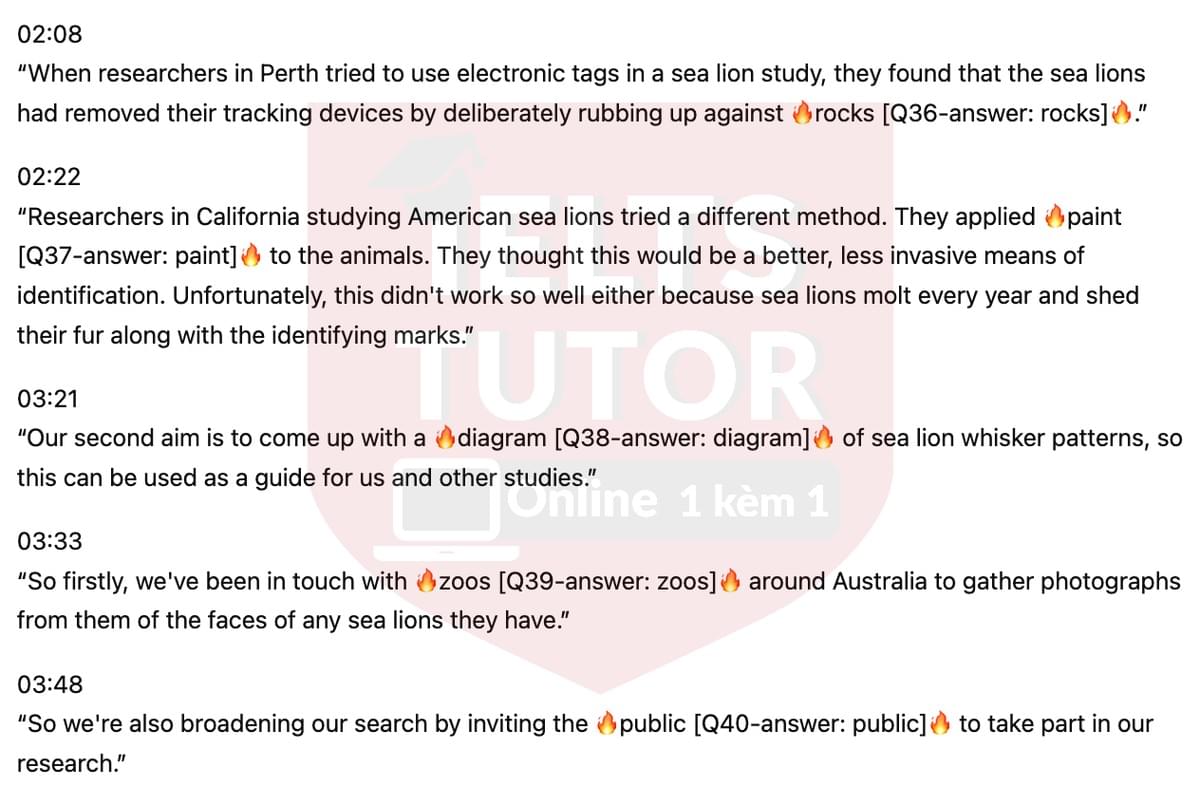 Sea Lion Tracking Study (Western Australia)