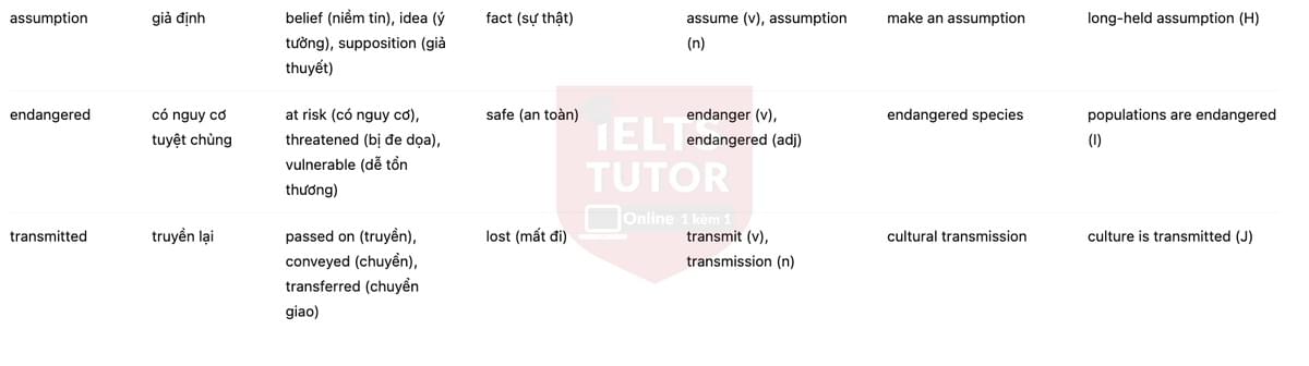 🔥Human-like culture in chimpanzees Answers with location - Đề luyện tập IELTS READING- Làm bài online format computer-based, kèm đáp án, dịch & giải thích từ vựng - cấu trúc ngữ pháp khó
