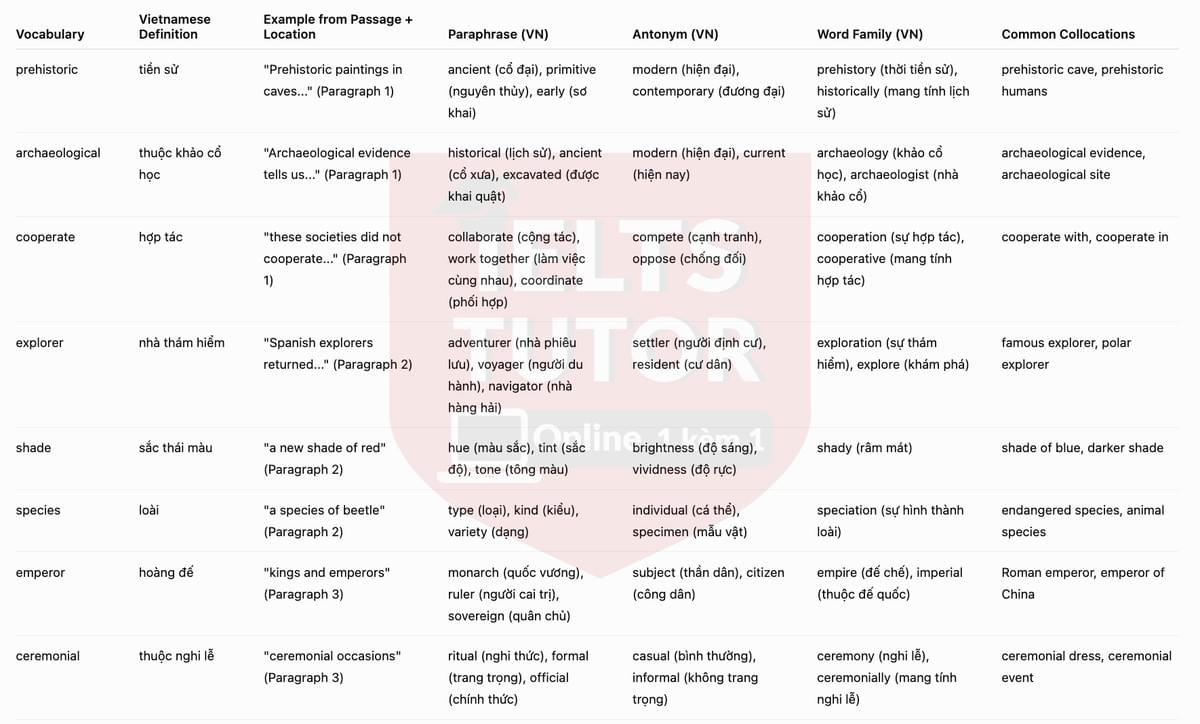 Vocabulary Explanation 1