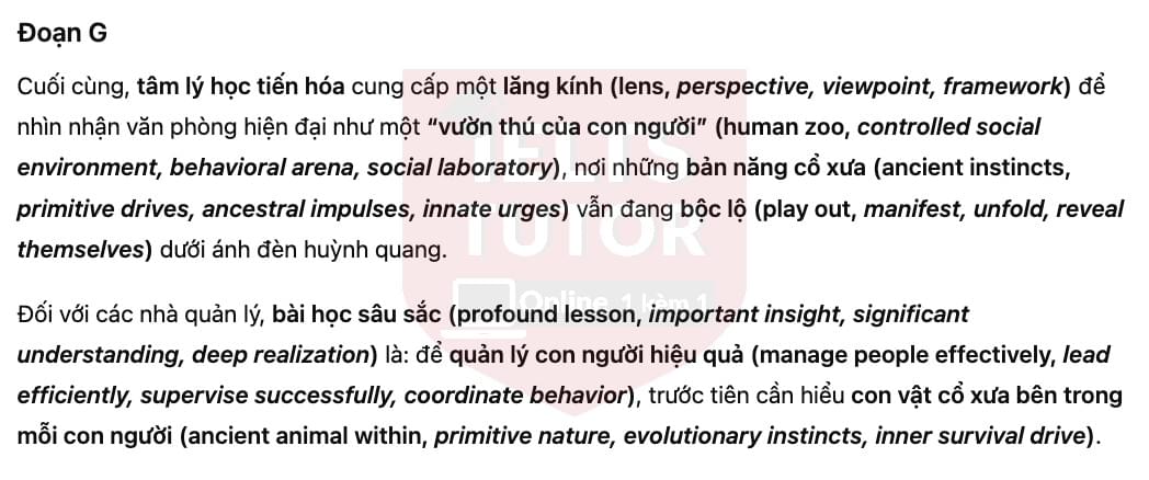🔥Understanding the origins of workplace behavior Answers with location - Đề luyện tập IELTS READING- Làm bài online format computer-based, kèm đáp án, dịch & giải thích từ vựng - cấu trúc ngữ pháp khó