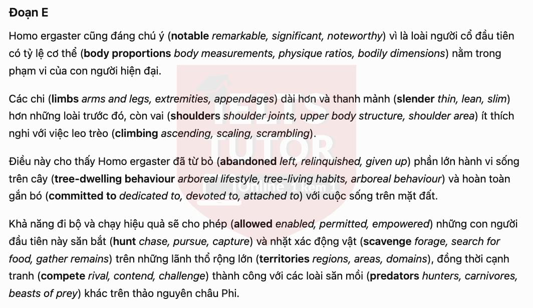 Translation 4