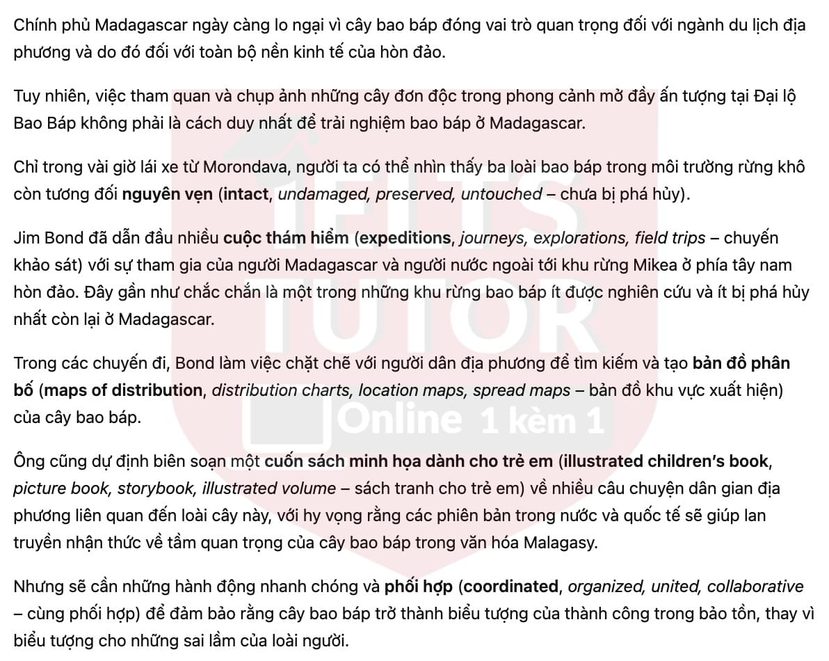 🔥The Baobabs of Madagascar Answers with location - Đề luyện tập IELTS READING- Làm bài online format computer-based, kèm đáp án, dịch & giải thích từ vựng - cấu trúc ngữ pháp khó