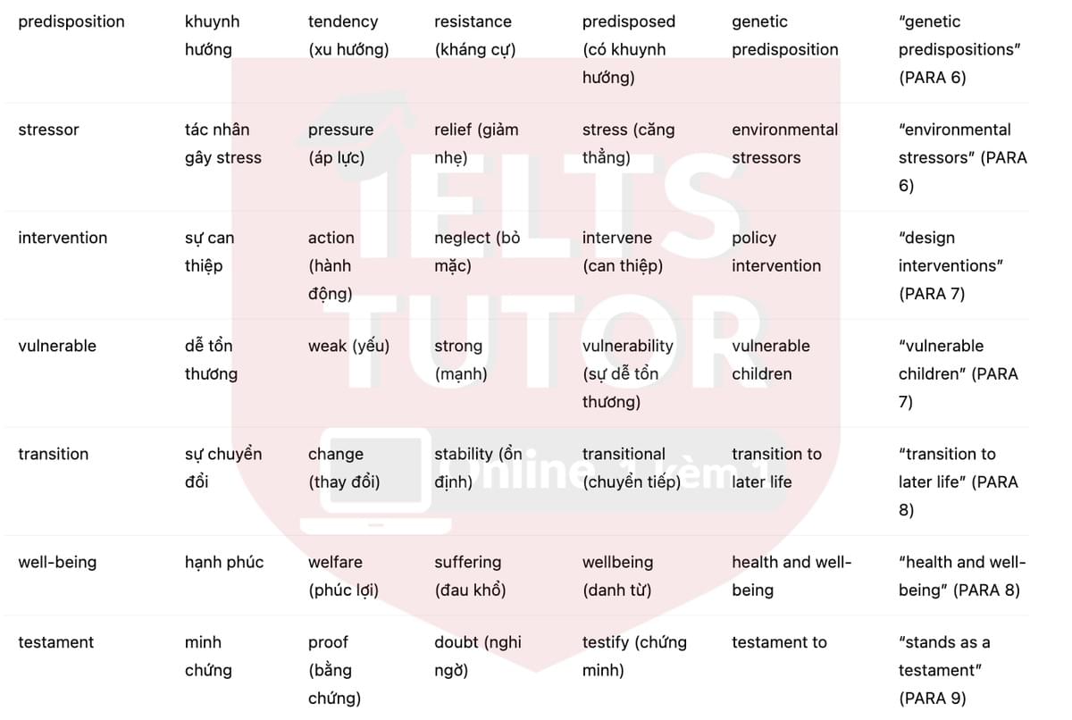 🔥The Dunedin Study Answers with location - Đề luyện tập IELTS READING- Làm bài online format computer-based, kèm đáp án, dịch & giải thích từ vựng - cấu trúc ngữ pháp khó