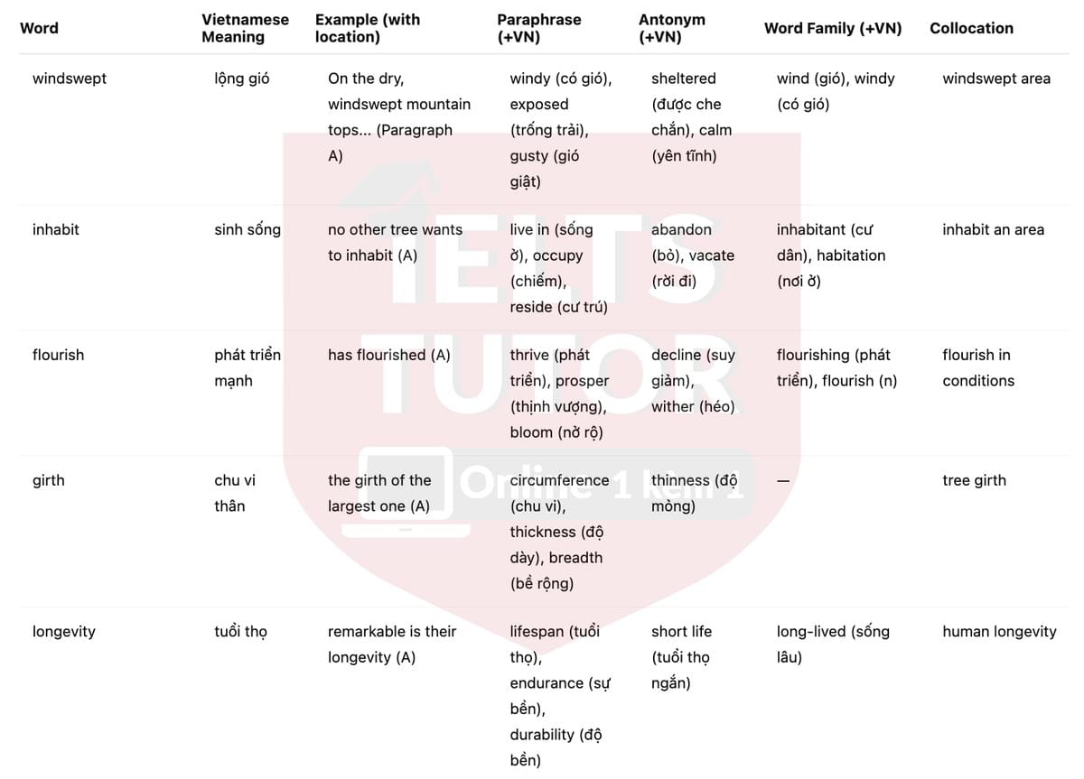 🔥Bristlecone Pines Answers with location - Đề luyện tập IELTS READING- Làm bài online format computer-based, kèm đáp án, dịch & giải thích từ vựng - cấu trúc ngữ pháp khó