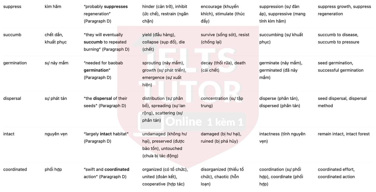 🔥The Baobabs of Madagascar Answers with location - Đề luyện tập IELTS READING- Làm bài online format computer-based, kèm đáp án, dịch & giải thích từ vựng - cấu trúc ngữ pháp khó