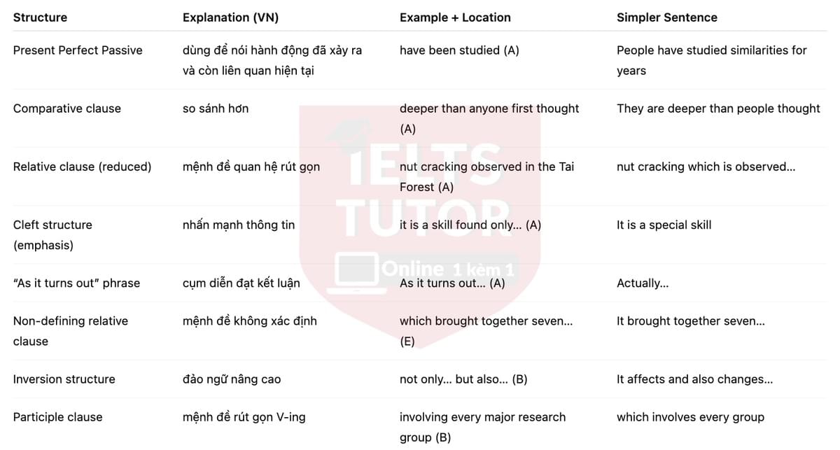 🔥Human-like culture in chimpanzees Answers with location - Đề luyện tập IELTS READING- Làm bài online format computer-based, kèm đáp án, dịch & giải thích từ vựng - cấu trúc ngữ pháp khó