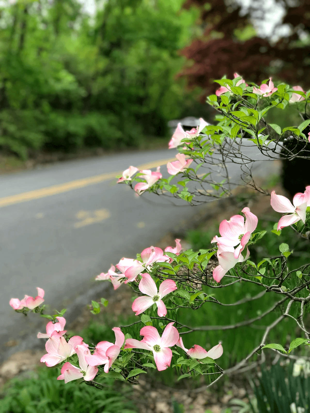 At NEW SALT CONSULTING, we provide expert guidance on integrating sustainability and ESG principles into your business strategy for long-term success. Your Partner in Sustainable Business Practices providing consultation services on business sustainability, ESG, and related strategic communication.