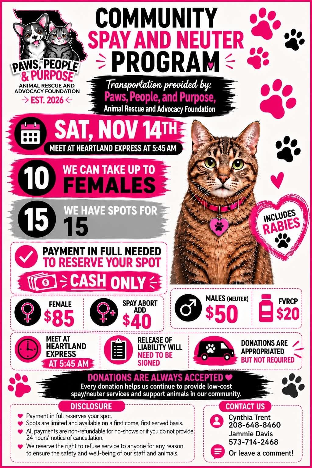 Access valuable resources and guidance on pet care, training, and health to ensure your new furry family member thrives in their forever home. Pet Care Resources Our Mission Connect furbabies to forever homes