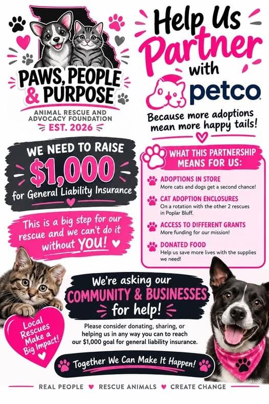 Access valuable resources and guidance on pet care, training, and health to ensure your new furry family member thrives in their forever home. Pet Care Resources Our Mission Connect furbabies to forever homes