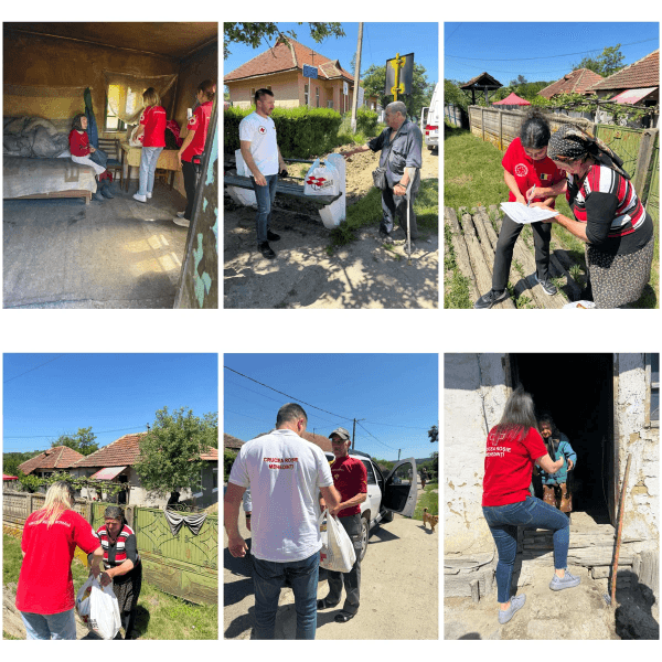 Section image